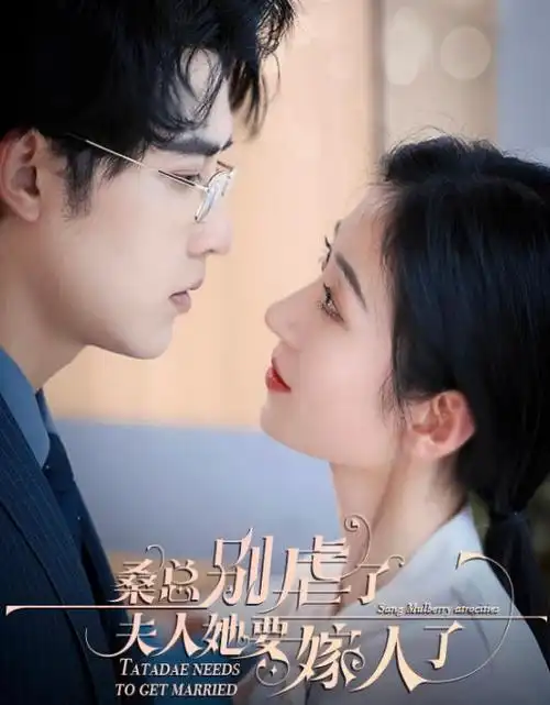 归途列车热播电视剧全集在线观看